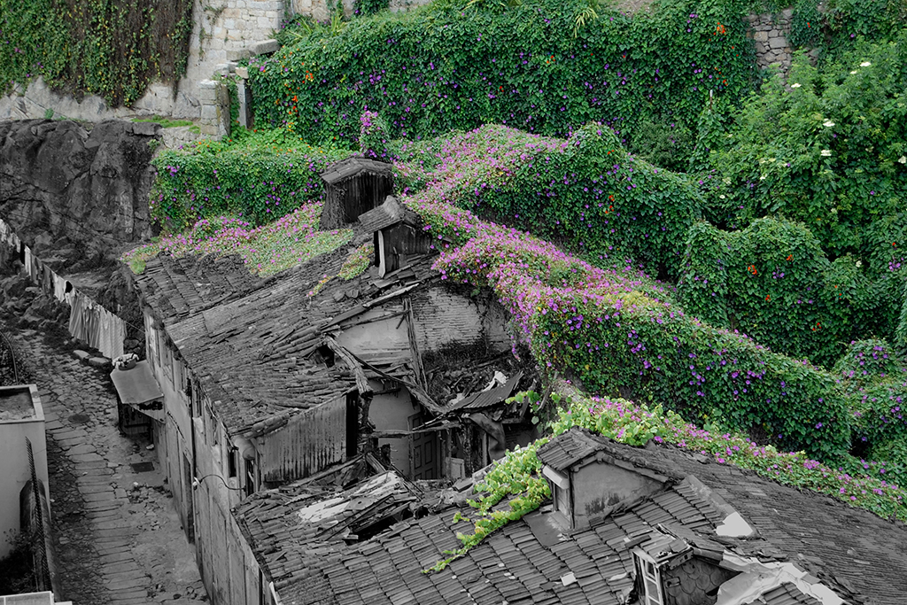 DSC_6194_E2